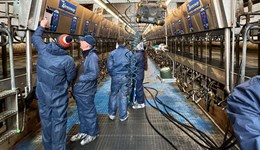 Boots, bugs and biosecurity: What Denmark does differently